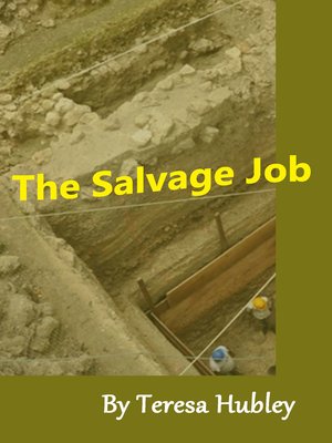 cover image of The Salvage Job